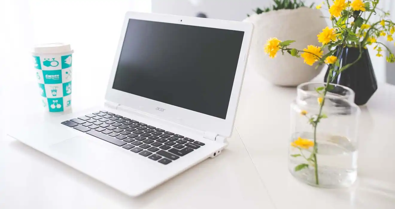 Ремонт ноутбуков Acer в Чапаевске