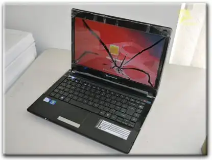Замена матрицы Packard Bell в Чапаевске